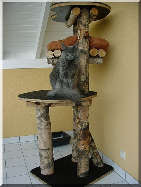 arbre a chat pour l'exterieur
